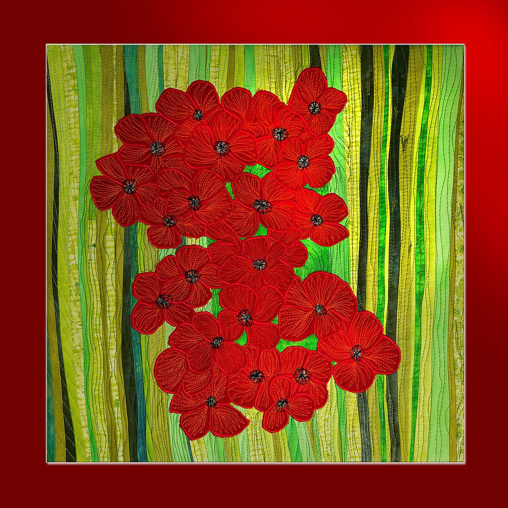 les coquelicots Werkfoto: les coquelicots